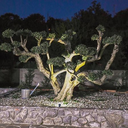 *****Pool House With Beautiful Seaview,Big Garden And Old Tavern***** Fiume Kültér fotó