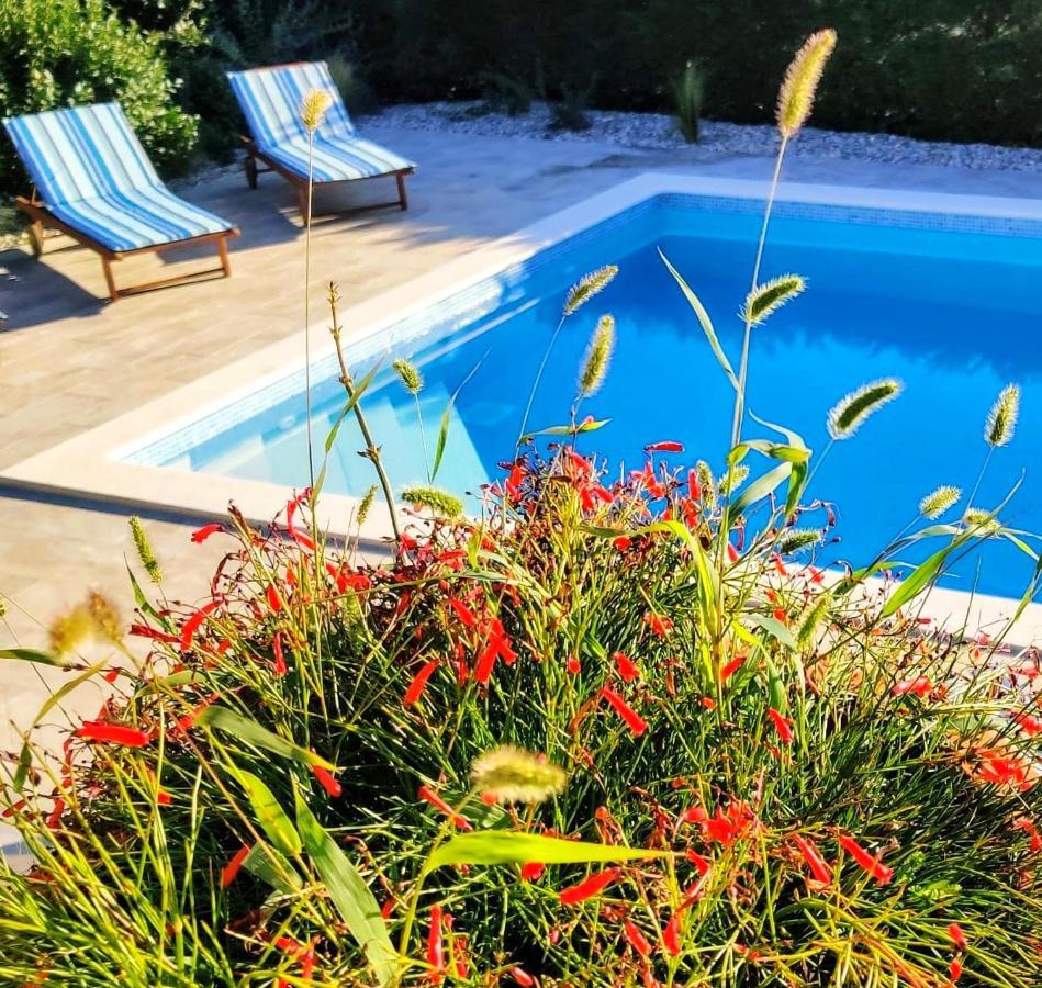 *****Pool House With Beautiful Seaview,Big Garden And Old Tavern***** Fiume Kültér fotó
